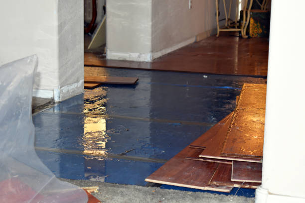 Professional Burst Pipe Water Damage technician working in Clearfield, PA